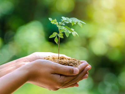 Image de Hygiène Gamme Ecologique