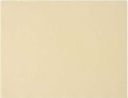 Image de Nappe rouleau Celisoft® ivoire 1,20x50m/1