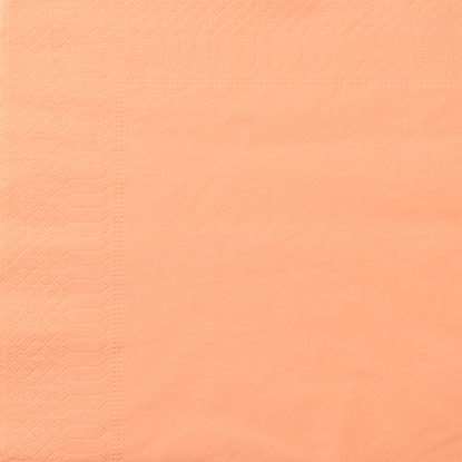 Image de Serviette ouate 2 plis abricot 30x30/3200