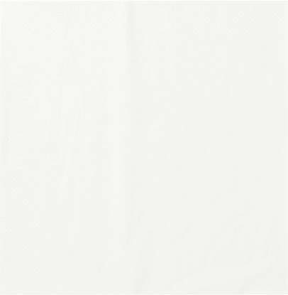 Image de Serviette ouate 2 plis blanc 33x33/1200