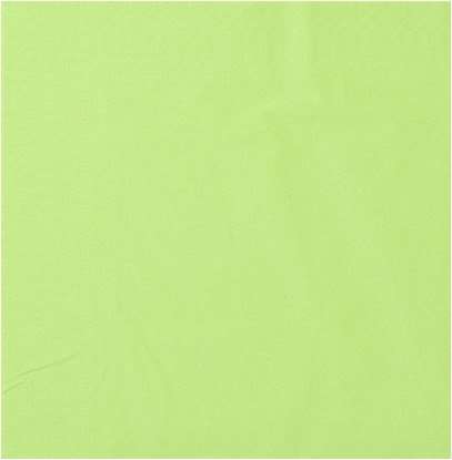 Image de Serviette ouate 2 plis pistache 20x20 /1800