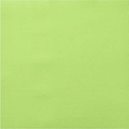 Image de Serviette Celi-ouate® pistache 38x38/900