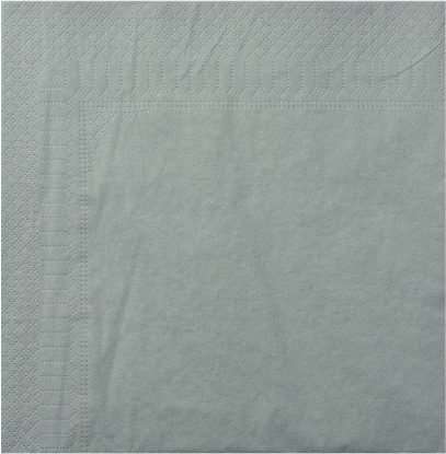 Image de Serviette ouate 2 plis béton 20x20/1800