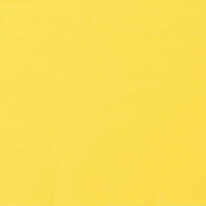 Image de Serviette Ouate 2 Plis Citron 20x20 /1800