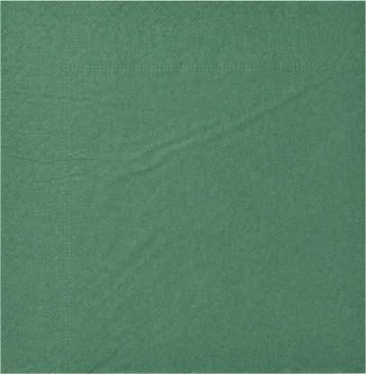 Image de Serviette ouate 2 plis vert sapin 30x39 Ecolabel/2400